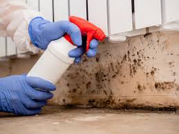 Best Asbestos and Lead Testing During Mold Inspection  in Country Walk, FL